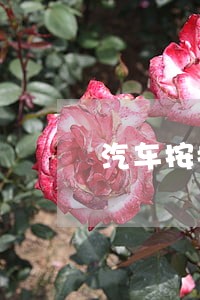 汽车按揭逾期4个月