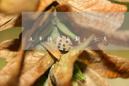 汽车按揭逾期5个月 汽车按揭逾期5个月