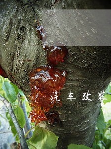 汽车改装上路违法吗 汽车改装上路违法吗
