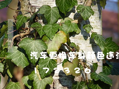 汽车更换车身颜色违法吗/2023020172326 汽车更换车身颜色违法吗/2023020172326