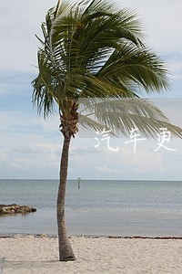 汽车更改轮胎宽度违法嘛