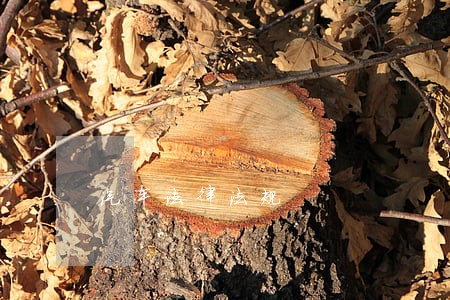 汽车法律法规 汽车法律法规