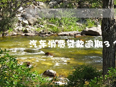 汽车消费贷款逾期3个月个月 汽车消费贷款逾期3个月个月
