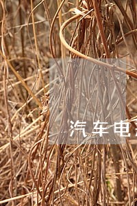 汽车电瓶法规 汽车电瓶法规
