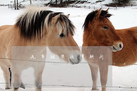 汽车租赁法律顾问 汽车租赁法律顾问