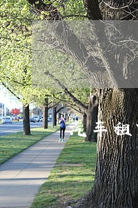 汽车租赁贷款逾期被起诉 汽车租赁贷款逾期被起诉