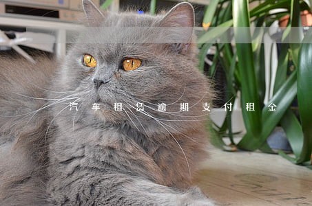 汽车租赁逾期支付租金