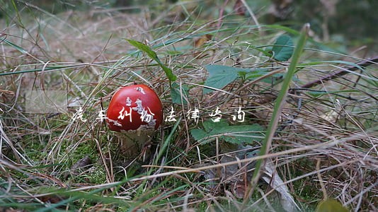 汽车纠纷法律咨询 汽车纠纷法律咨询