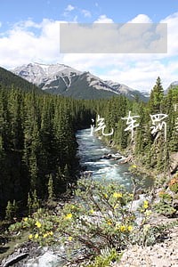 汽车罚款逾期未交需要扣分 汽车罚款逾期未交需要扣分