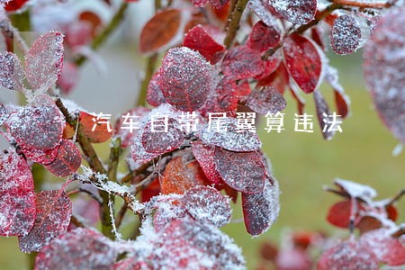 汽车自带尾翼算违法 汽车自带尾翼算违法