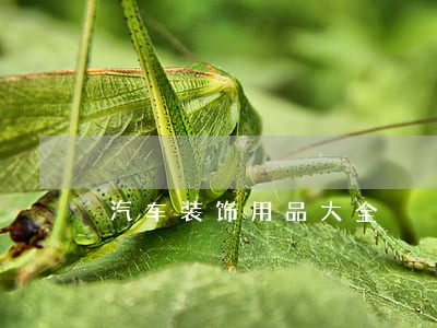 汽车装饰用品大全