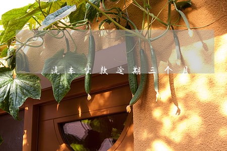 汽车货款逾期三个月 汽车货款逾期三个月