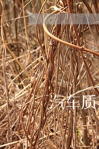 汽车质押借款逾期汽车被强行拖走 汽车质押借款逾期汽车被强行拖走