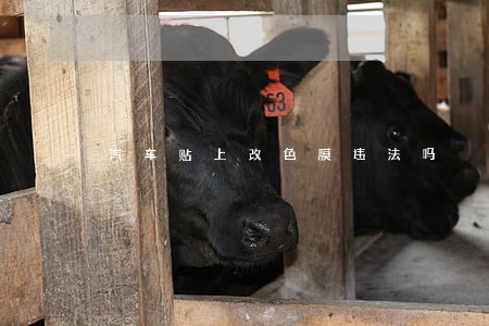 汽车贴上改色膜违法吗 汽车贴上改色膜违法吗