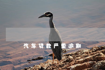 汽车贷款严重逾期 汽车贷款严重逾期