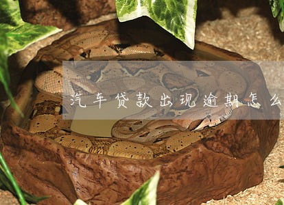 汽车贷款出现逾期怎么办 汽车贷款出现逾期怎么办