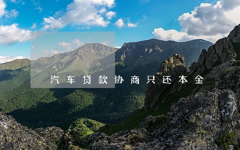 汽车贷款协商只还本金 汽车贷款协商只还本金