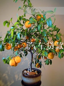 汽车贷款客户逾期处理流程 汽车贷款客户逾期处理流程