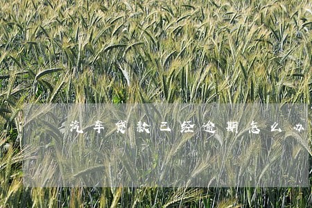 汽车贷款已经逾期怎么办 汽车贷款已经逾期怎么办