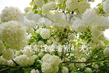 汽车贷款逾期4天 汽车贷款逾期4天