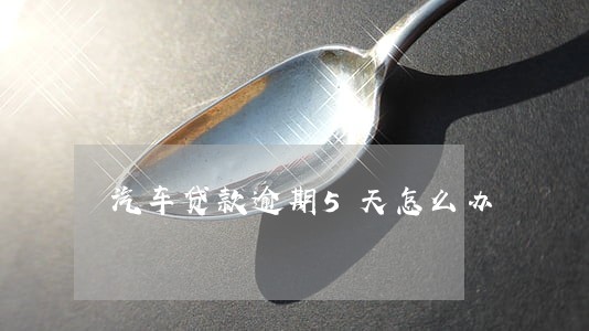 汽车贷款逾期5天怎么办 汽车贷款逾期5天怎么办