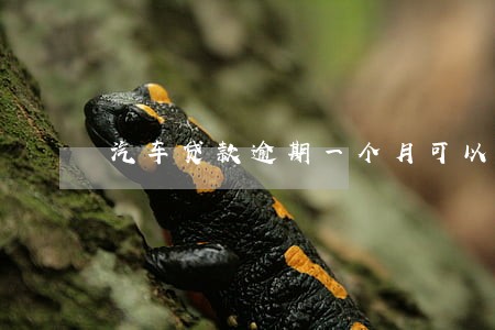 汽车贷款逾期一个月可以吗 汽车贷款逾期一个月可以吗