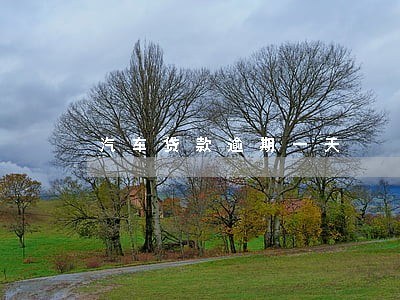 汽车贷款逾期一天 汽车贷款逾期一天