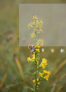 汽车贷款逾期一次扣车 汽车贷款逾期一次扣车