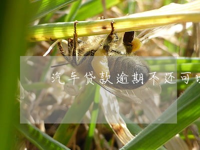 汽车贷款逾期不还可以吗 汽车贷款逾期不还可以吗