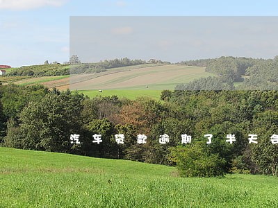 汽车贷款逾期了半天会怎么样