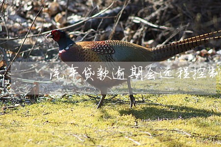 汽车贷款逾期会远程控制吗 汽车贷款逾期会远程控制吗