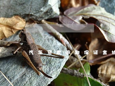 汽车贷款逾期保证金协议样板 汽车贷款逾期保证金协议样板