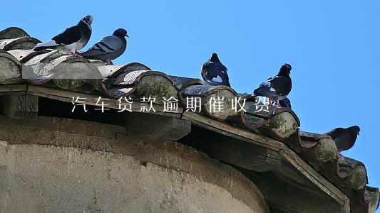 汽车贷款逾期催收费 汽车贷款逾期催收费