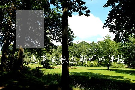 汽车贷款逾期可以年检 汽车贷款逾期可以年检