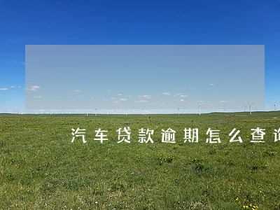 汽车贷款逾期怎么查询