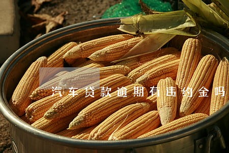 汽车贷款逾期有违约金吗 汽车贷款逾期有违约金吗