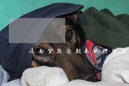 汽车贷款逾期未抵押贷款吗 汽车贷款逾期未抵押贷款吗