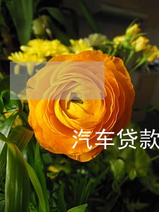 汽车贷款逾期没事吧 汽车贷款逾期没事吧
