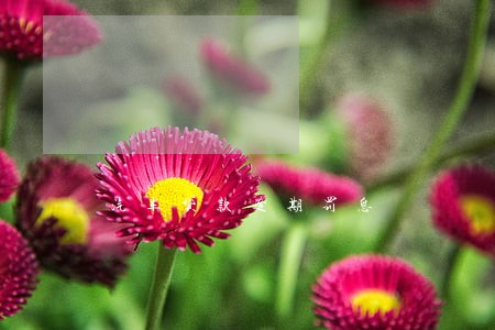 汽车贷款逾期罚息 汽车贷款逾期罚息