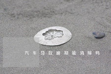 汽车贷款逾期能消除吗 汽车贷款逾期能消除吗