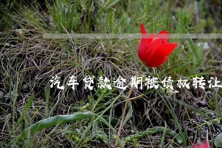 汽车贷款逾期被债权转让 汽车贷款逾期被债权转让