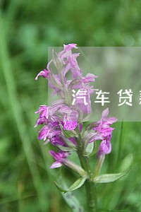 汽车贷款逾期谁催收 汽车贷款逾期谁催收