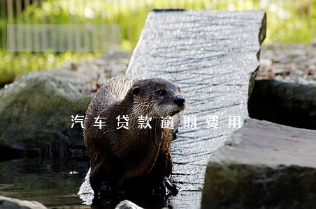 汽车贷款逾期费用 汽车贷款逾期费用
