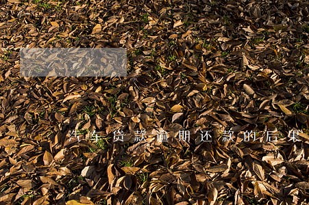 汽车贷款逾期还款的后果 汽车贷款逾期还款的后果