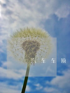 汽车车顶架自行车违法吗 汽车车顶架自行车违法吗