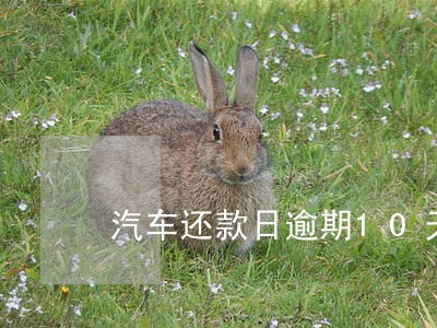 汽车还款日逾期10天会怎么样 汽车还款日逾期10天会怎么样