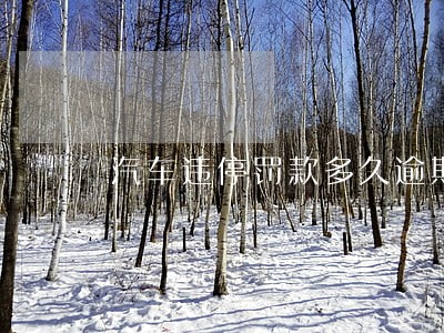 汽车违停罚款多久逾期 汽车违停罚款多久逾期