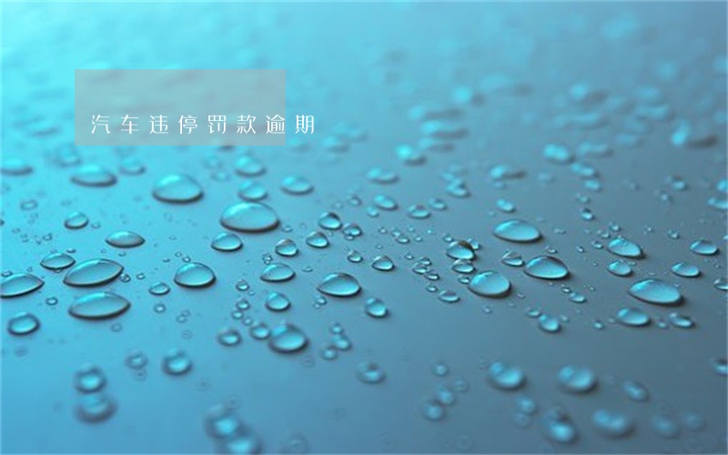 汽车违停罚款逾期 汽车违停罚款逾期