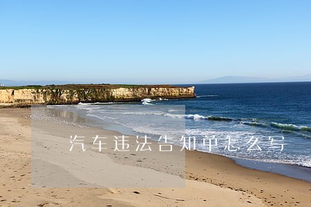 汽车违法告知单怎么写
