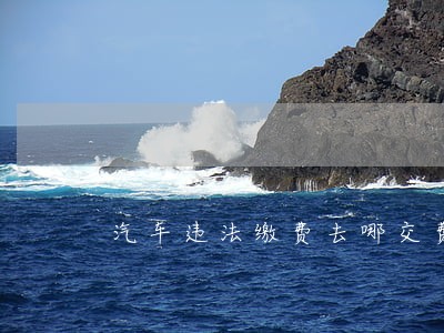 汽车违法缴费去哪交费 汽车违法缴费去哪交费